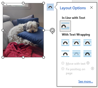 Layout options menu on a selected image